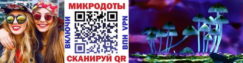 Галлюциногенные грибы MAGIC MUSHROOMS  дарнет шоп  Азов 